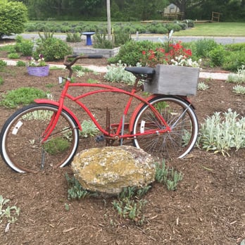 Lavender Fields - Nurseries & Gardening Near Me - Milton, Delaware