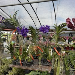 Keep It Green Nursery & Landscape