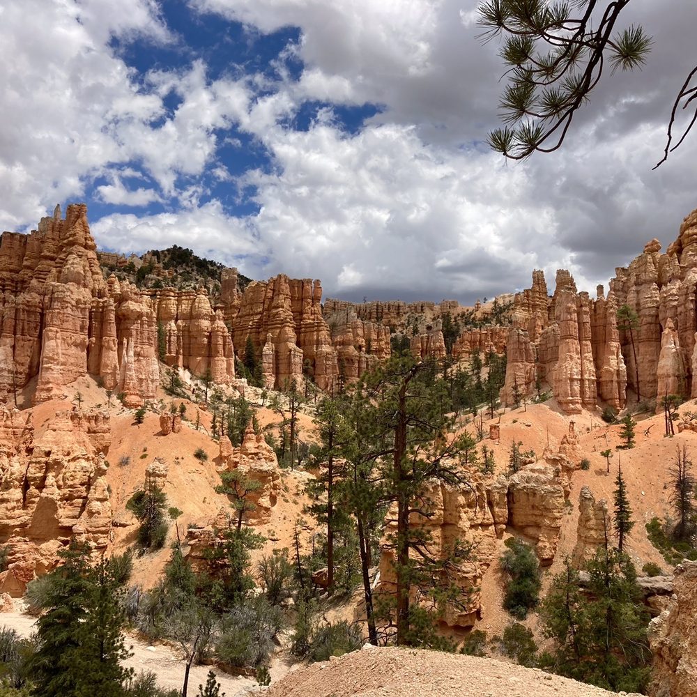 Fairyland Loop Trail - Fairyland Canyon looking north, north end of hike - Hiking Near Me - Bryce Canyon, Utah