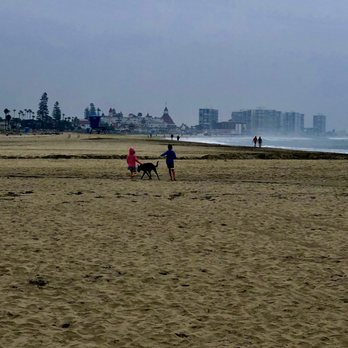 Coronado Dog Beach - The dog beach ends at the break in the sand where runoff(?) drains into the ocean (visible as the dark sand above my dog in this picture) - Beaches Near Me - Coronado, California