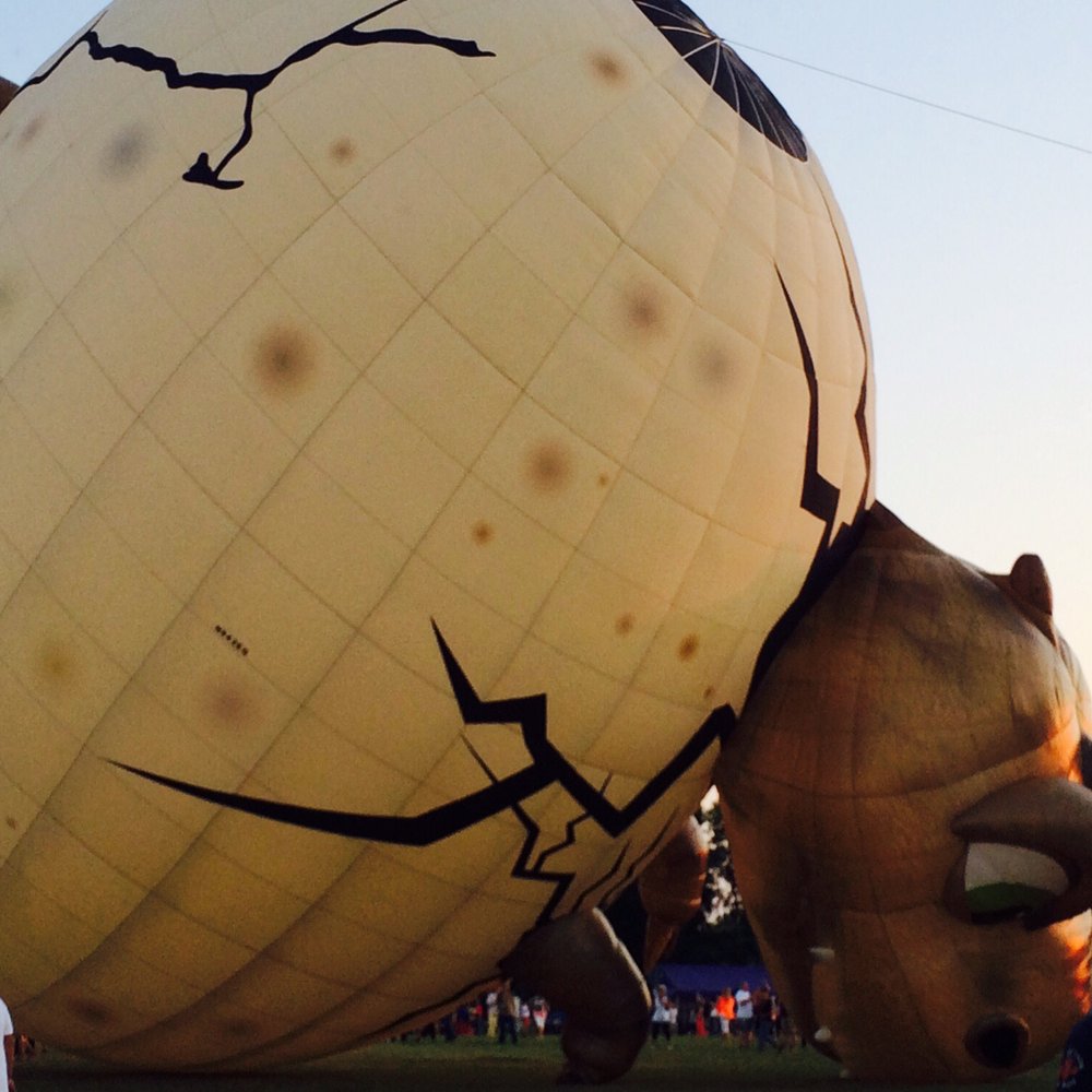 Solberg Airport - Dinosaur Balloon - Airports Near Me - Whitehouse Station, New Jersey