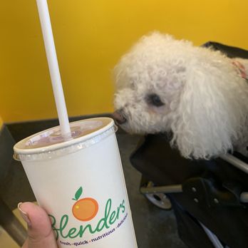 Blenders In The Grass - Nani approves! - Juice Bars & Smoothies Near Me - Santa Barbara, California Blenders In The Grass - Nani approves! - Juice Bars & Smoothies Near Me - Santa Barbara, California