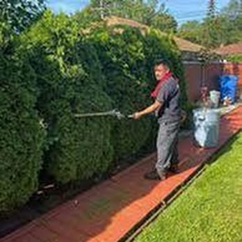 Advantage Tree Care - untitled - Tree Services Near Me Advantage Tree Care - untitled - Tree Services Near Me
