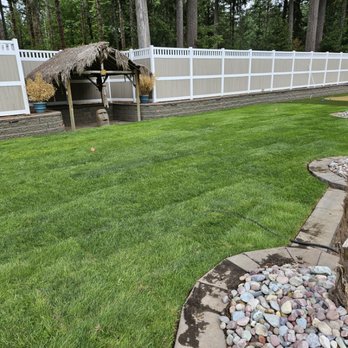 Leveled Excavating - Excavation Services Near Me