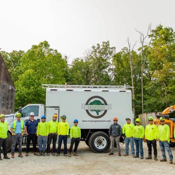 Chapingo Tree Care Specialists - Tree Services Near Me - Frederick, Maryland Chapingo Tree Care Specialists - Tree Services Near Me - Frederick, Maryland