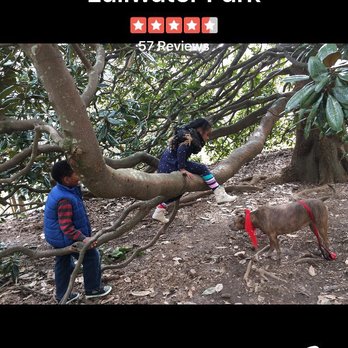 Lullwater Park - Adventures with the kids and pup - Parks Near Me - Atlanta, Georgia
