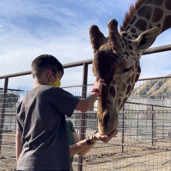 Wildlife Learning Center - Zoos Near Me - Sylmar, California Wildlife Learning Center - Zoos Near Me - Sylmar, California
