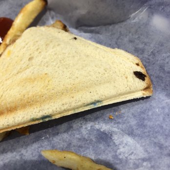 Frozenlandia - Moldy grilled cheese - Ice Cream & Frozen Yogurt Near Me - Easton, Pennsylvania Frozenlandia - Moldy grilled cheese - Ice Cream & Frozen Yogurt Near Me - Easton, Pennsylvania
