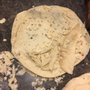 Photo of Panchita's Tortilla Factory