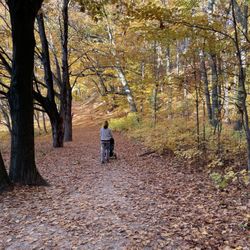 Saugatuck Dunes State Park