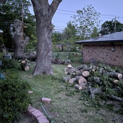 Wise Oak Tree Service