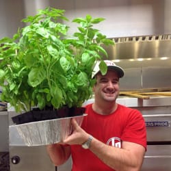 Johnny's Pizza Apex - Fresh Living BASIL!