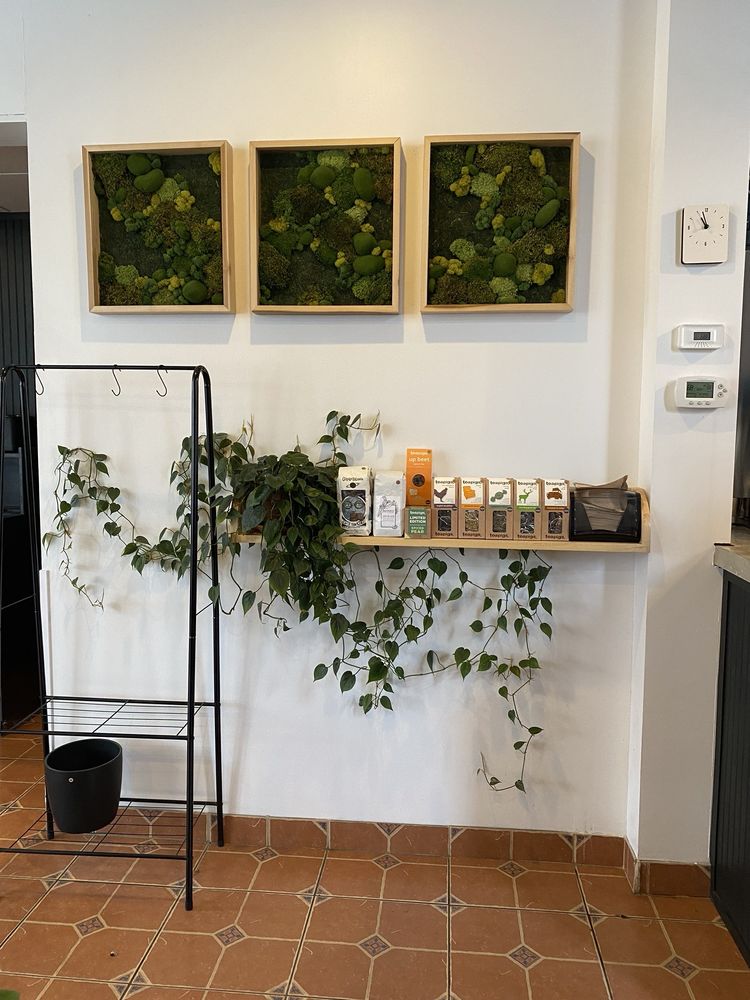 Social spots from Botanist Coffeehouse