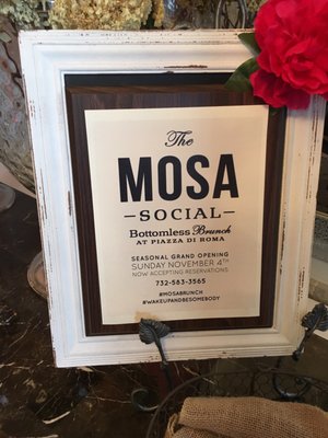 The Mosa Social by null