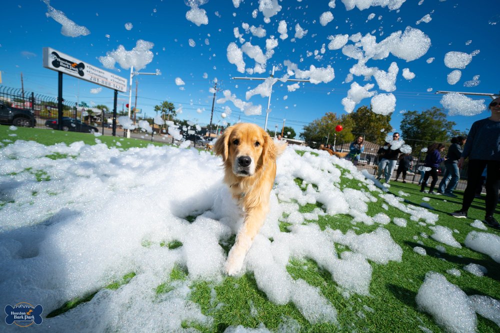 houston bark park maxie