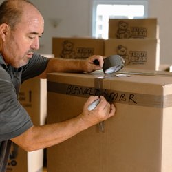 Teddy Bear Moving - packing