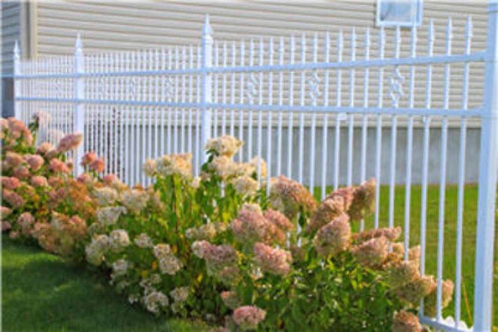 CLÔTURE Updated July 2024 11 Photos 295 Rue Saint Pierre S