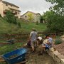 Photo of Design/Build Landscapes of Colorado