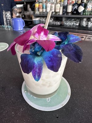 Bearded Lady by null