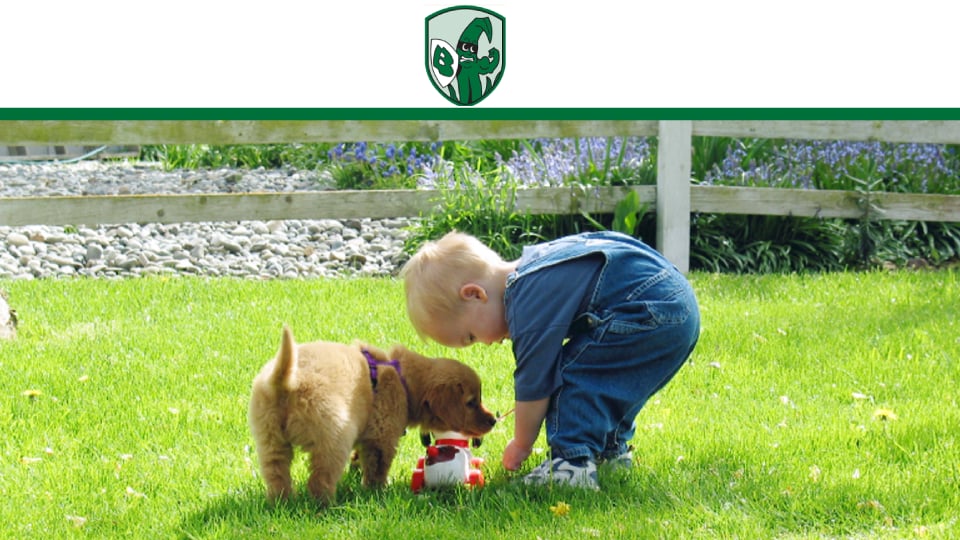 FARROW PEST SERVICES 3115 81st Ct E, Bradenton, FL Yelp