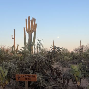 Posada by The Joshua Tree House - Vacation Rentals Near Me Posada by The Joshua Tree House - Vacation Rentals Near Me