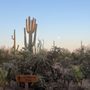 Photo of Posada by The Joshua Tree House