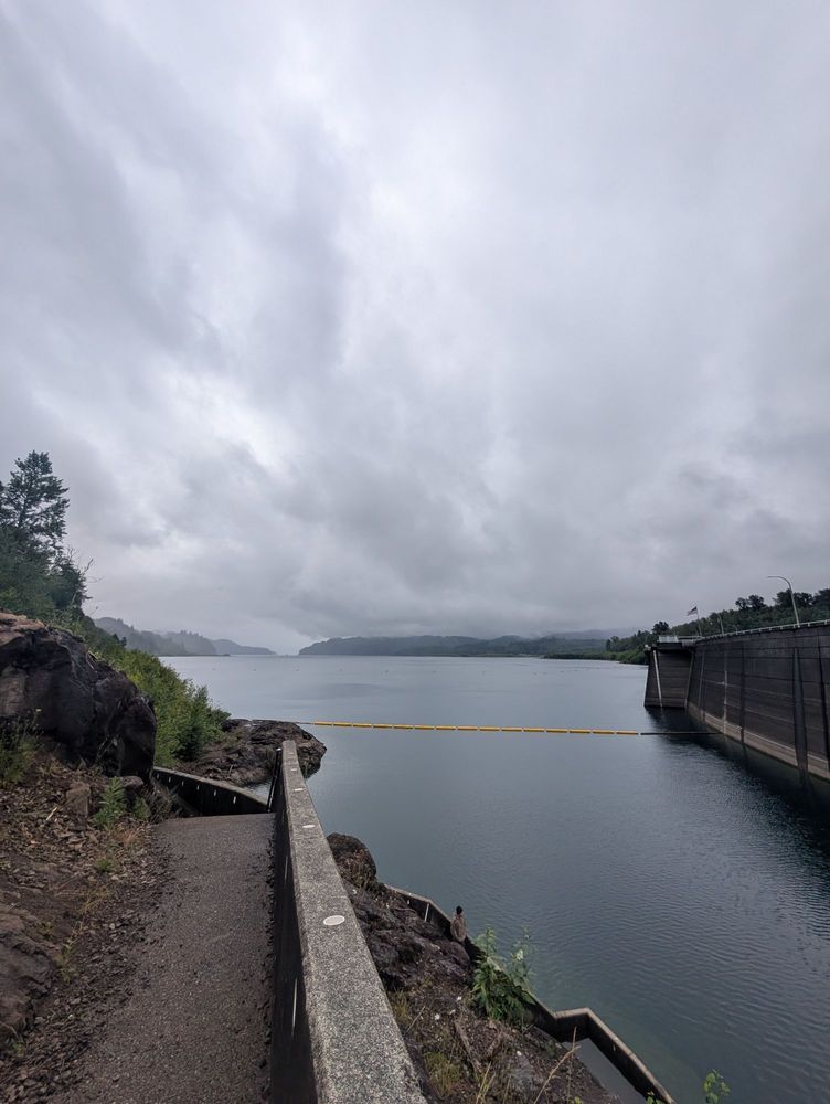 Mossyrock Dam Logo