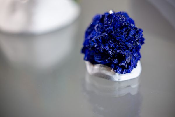 Santa Barbara Museum of Natural History by null