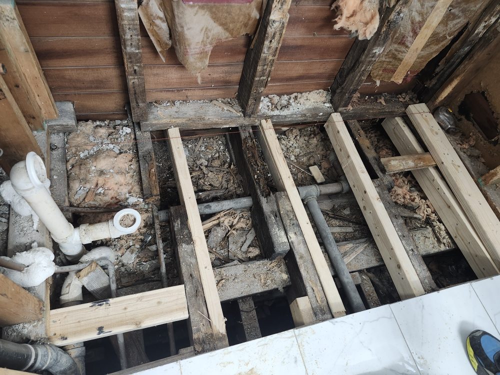 Slide of Jilmer Ramos