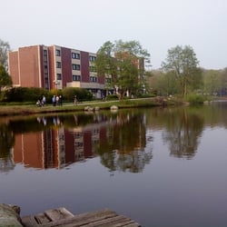 The Cruise Cafe
