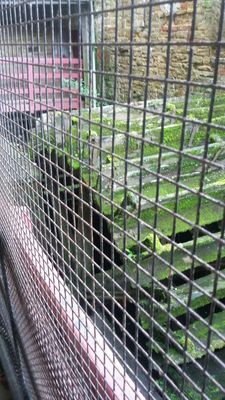 Leeds Industrial Museum at Armley Mills by null