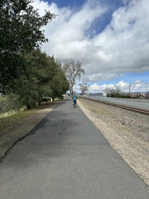 Napa Valley Vine Trail by null