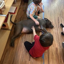 Turkey Creek Montessori - Kids and a dog