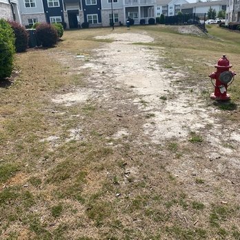 Waterleigh at Leland - Grass? - Apartments Near Me - Leland, North Carolina Waterleigh at Leland - Grass? - Apartments Near Me - Leland, North Carolina