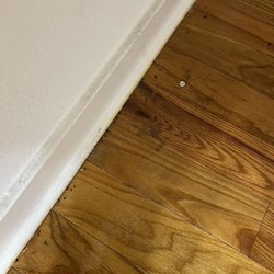 Natural Falls Resort Apartments - Mouse shit