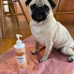 Pets Bring Joy Pet Supply