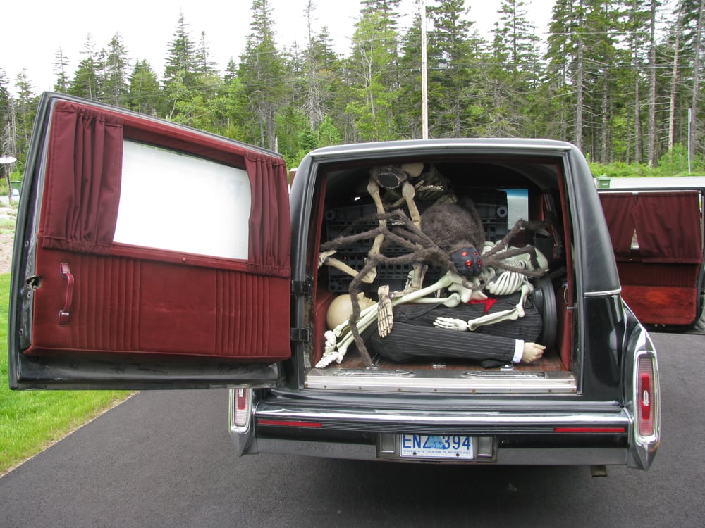 RIPSTERS HALLOWEEN SHOP 65 Photos 622 Sackville Drive, Lower