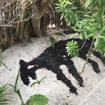 Hotel Pocna Tulum - Pathways - Hotels & Travel Near Me - Tulum, ROO