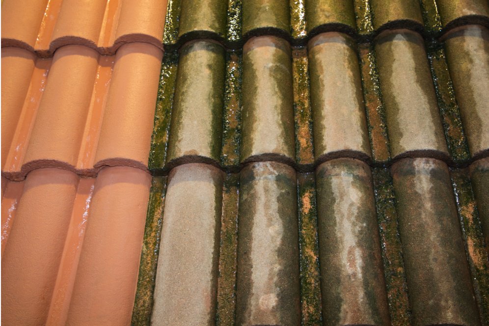 Slide of Eco Green Drone