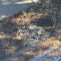 Ad-West Realty Services - Sewer flooded the unit below mine for a week. They let it sit for 30 days. That was august, her unit is still down to the studs and it's dec