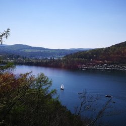 Tree Top Walk - Der Baumkronenpfad am Edersee