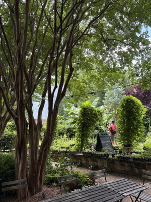 McGill Rose Garden by null
