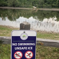 Lillie Park - Why would you swim in a turtle pond?