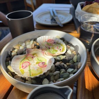 Bear at Stanly Ranch - Ceviche - New American Near Me - Napa, California Bear at Stanly Ranch - Ceviche - New American Near Me - Napa, California