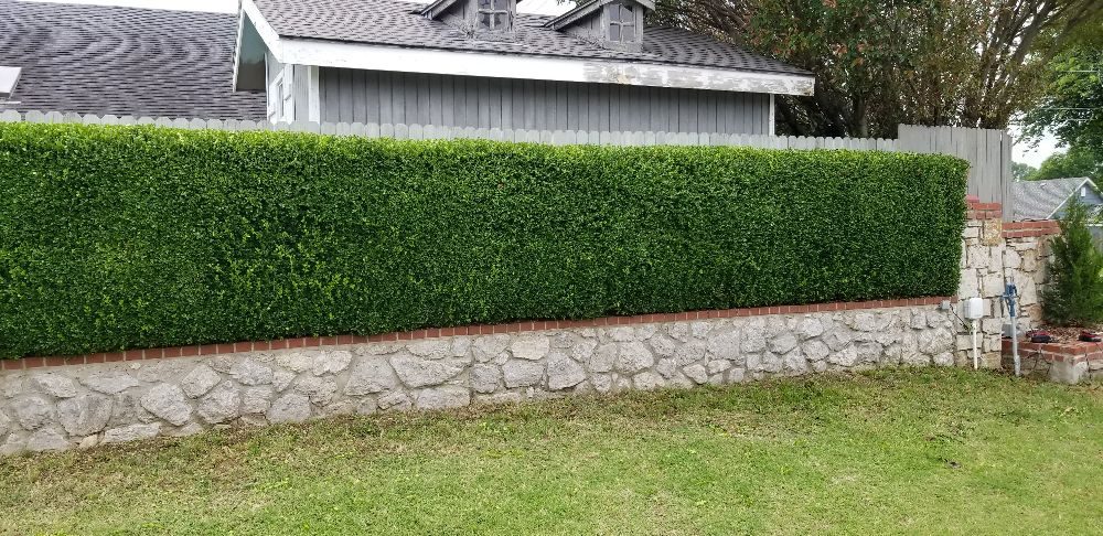 Slide of Fair Lawn Care Solutions