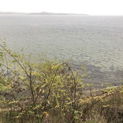 Holnis Spitze - Trotz trübem Wetter und schlechter Sicht, hier die Dänische Küste im Hintergrund