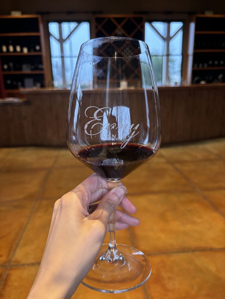 Envy Wines Logo