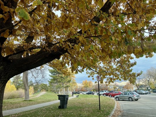 Liberty Park by null