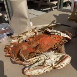 1/2 dozen steamed XL crabs