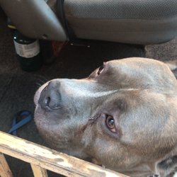 Photo of Mike & Son Sharpening Service - Brooklyn, NY, US.